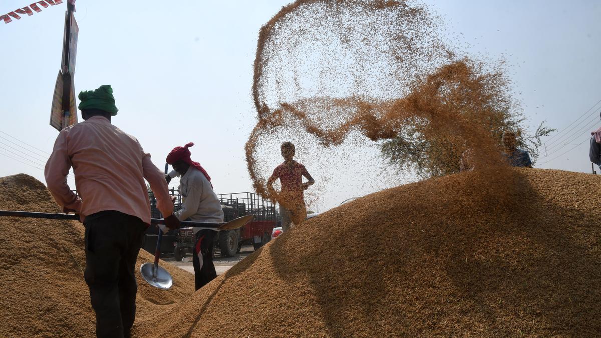 India Imposes 20% Export Duty on Parboiled Rice India Imposes 20% Export Duty on Parboiled Rice